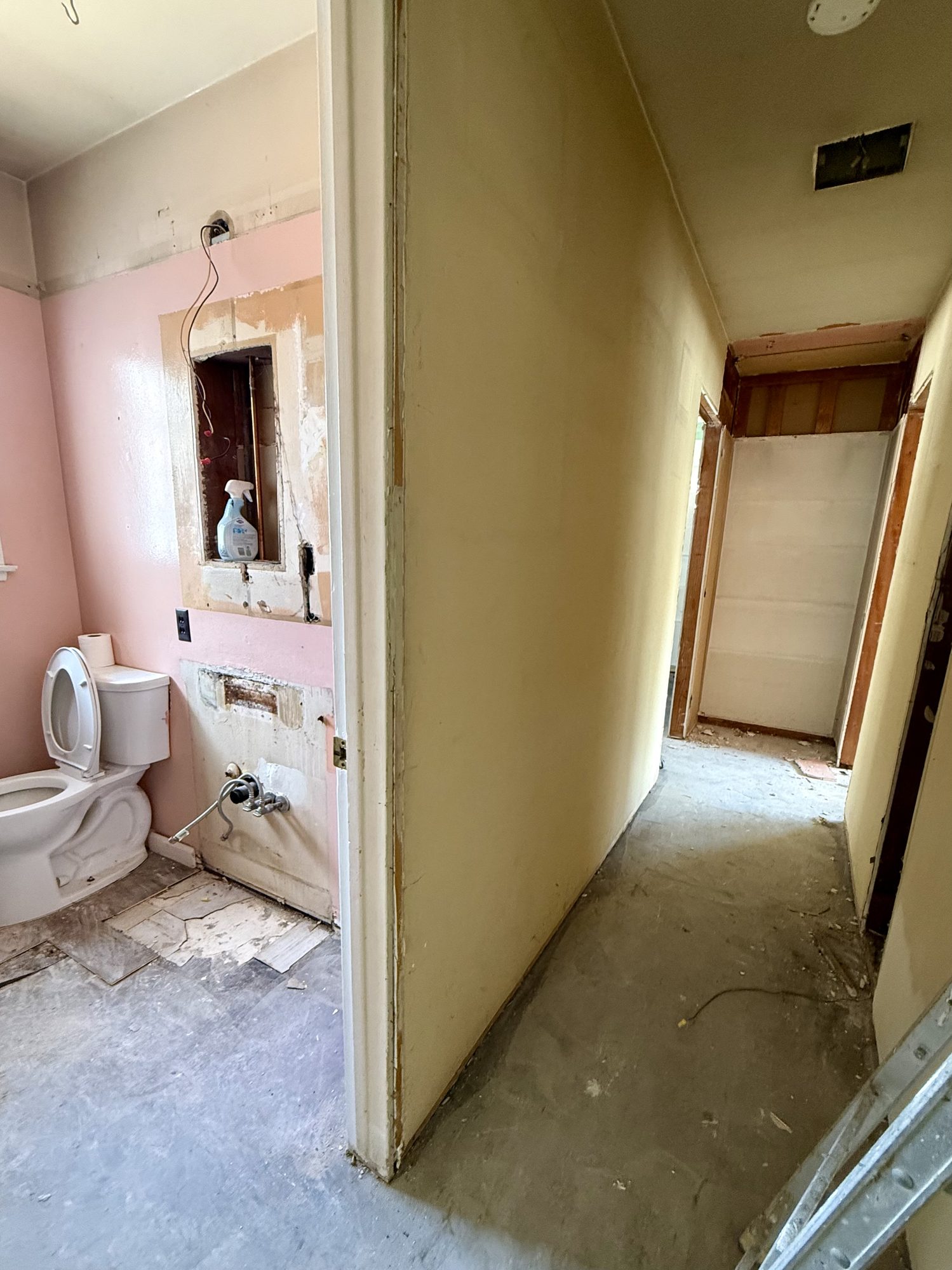 Bathroom strip-out